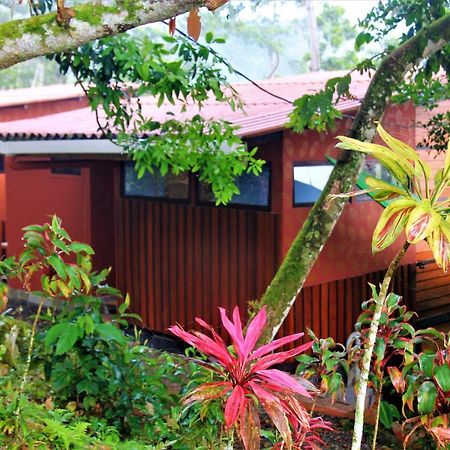 Casitas Eco Bambu Villa Cartago Eksteriør bilde