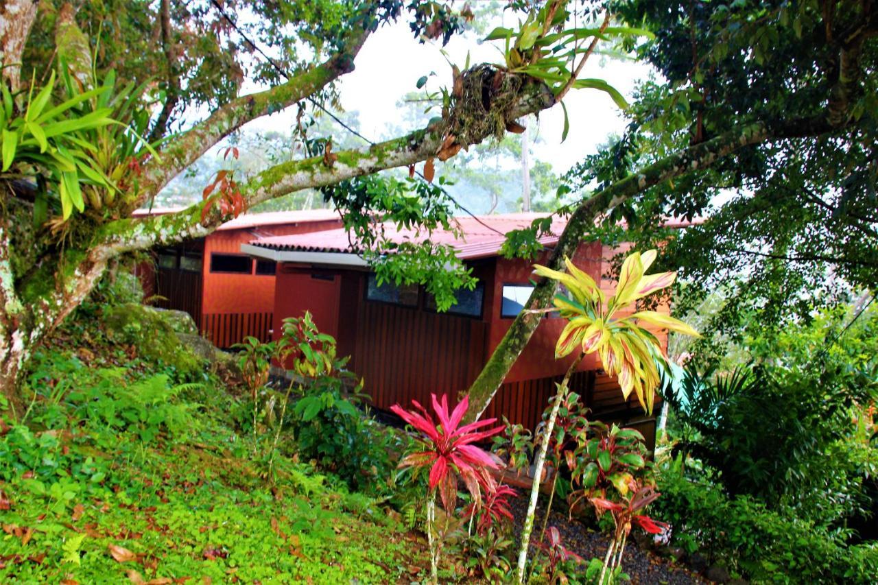 Casitas Eco Bambu Villa Cartago Eksteriør bilde