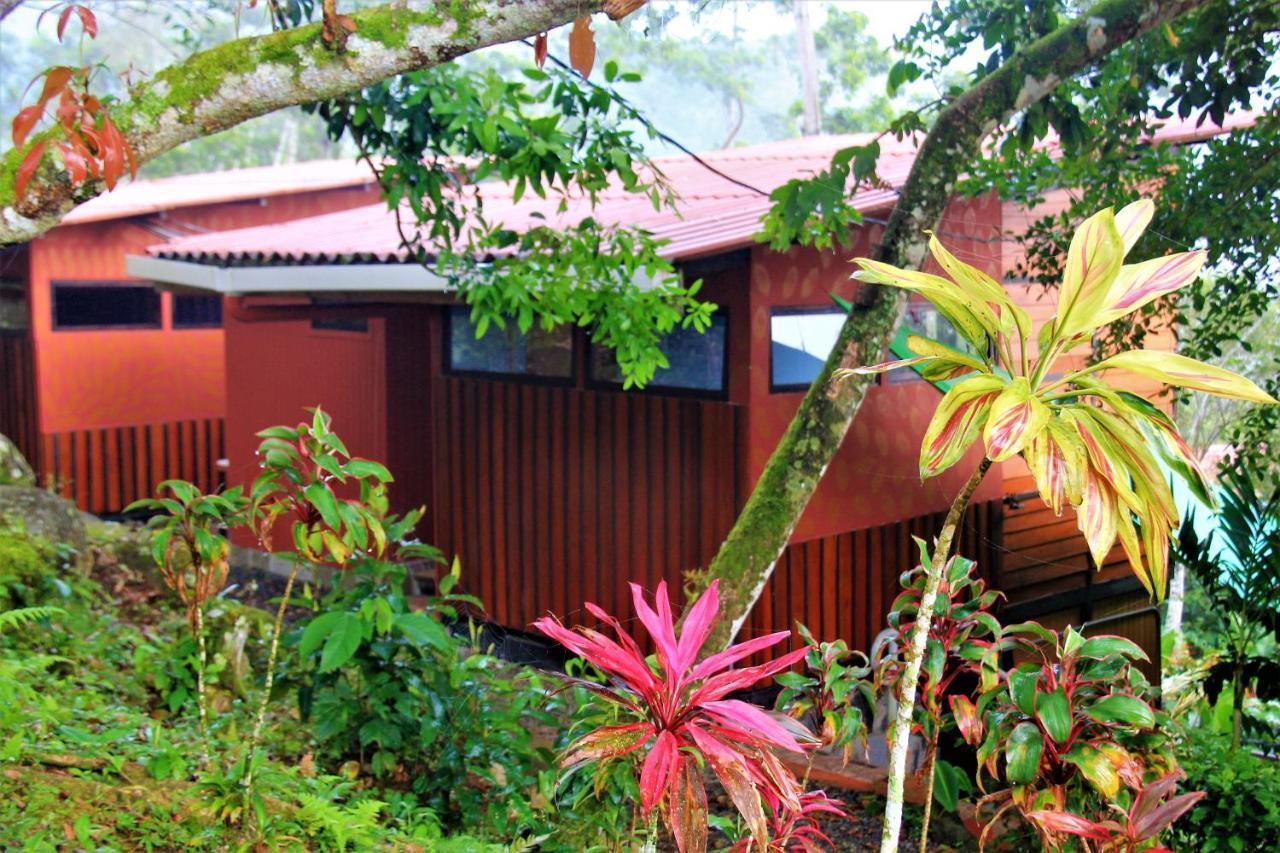 Casitas Eco Bambu Villa Cartago Eksteriør bilde
