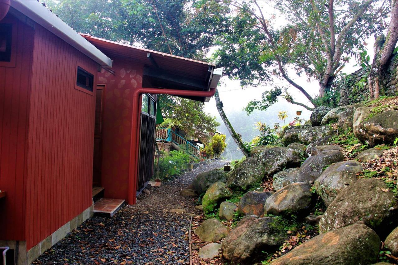 Casitas Eco Bambu Villa Cartago Eksteriør bilde