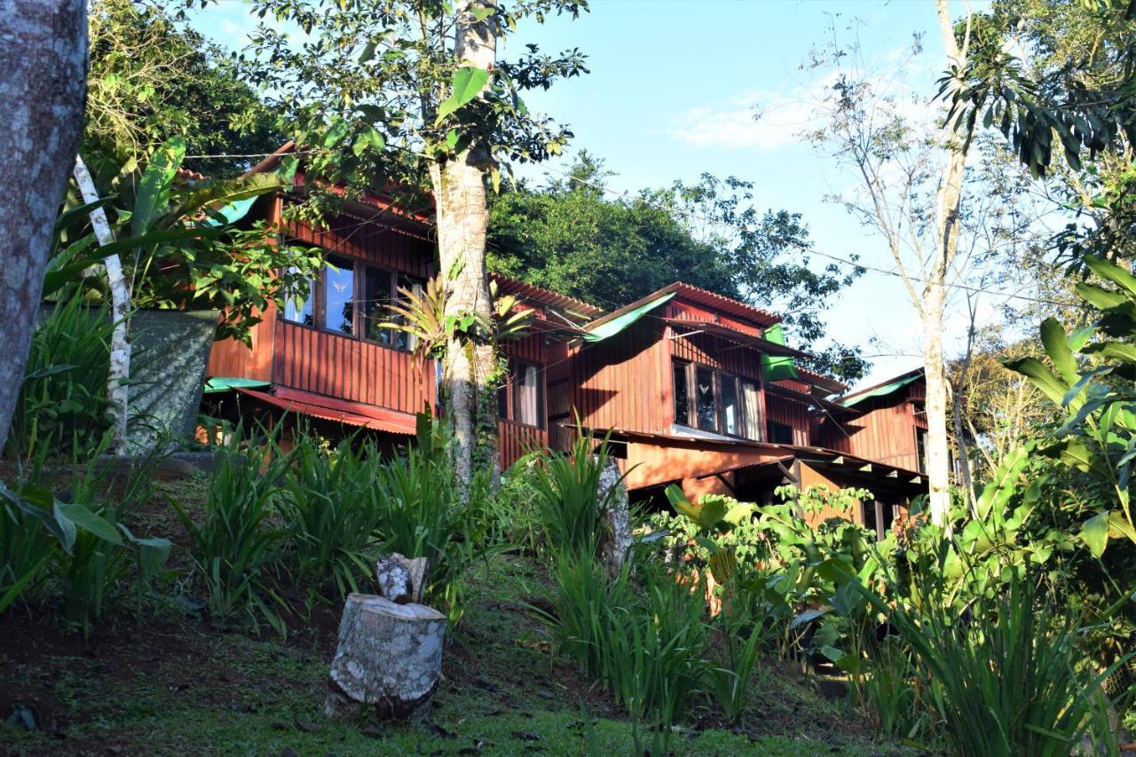 Casitas Eco Bambu Villa Cartago Eksteriør bilde