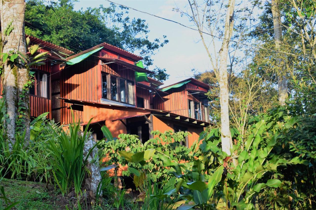 Casitas Eco Bambu Villa Cartago Eksteriør bilde