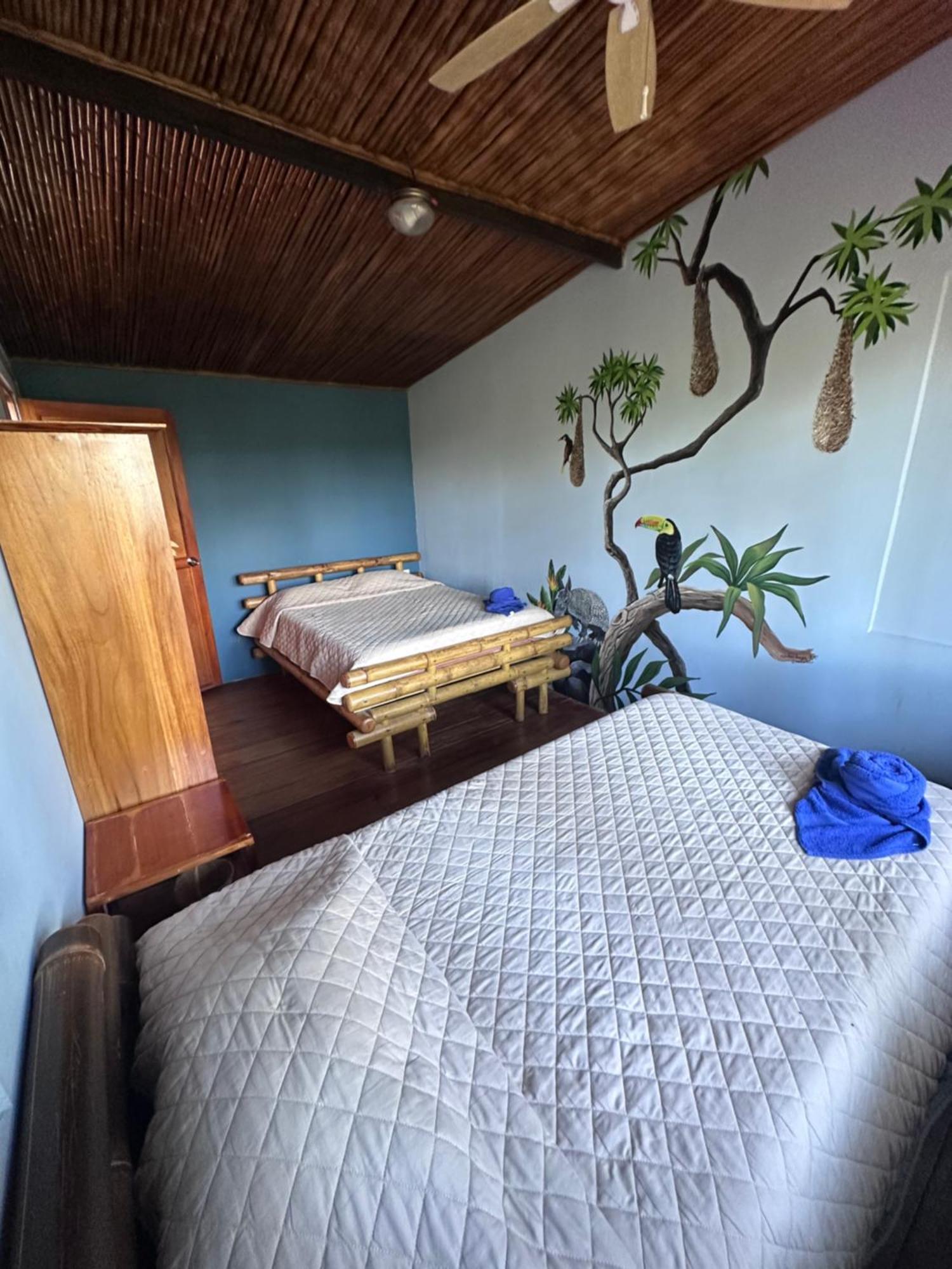 Casitas Eco Bambu Villa Cartago Eksteriør bilde